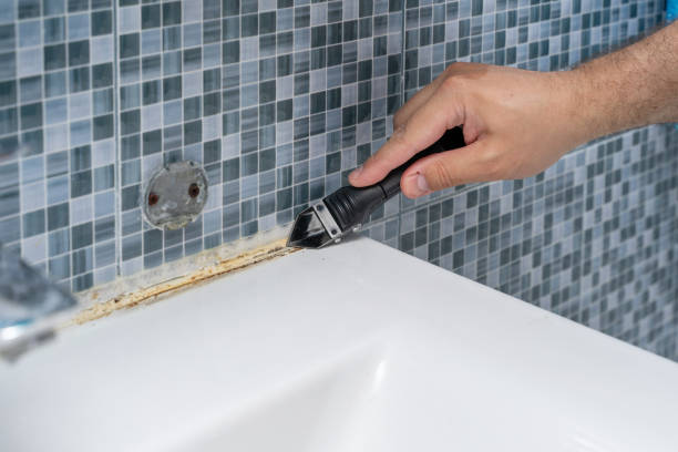 Best Black Mold Removal  in Pajaro, CA