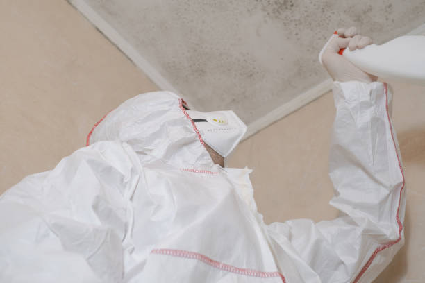 Best Attic Mold Removal  in Pajaro, CA