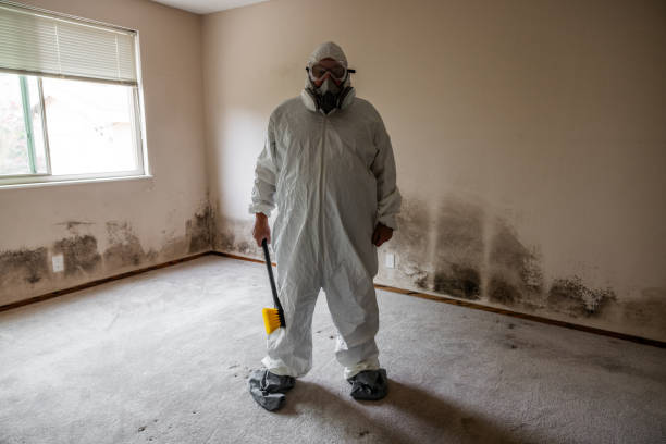 Best Certified Mold Removal  in Pajaro, CA